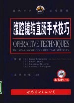 腹腔镜结直肠手术技巧 封面
