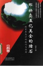 赌石  3  那块卖五亿美金的赌石  投资黑乌沙的技巧与陷阱 封面