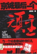 京城最后一个顽主 封面