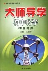 大师导学  初中化学  九年级  上下  人教版 封面