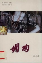 倜陶  长篇小说 封面