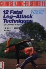少林十二绝命腿 封面