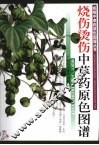 烧伤烫伤中草药原色图谱 封面