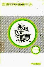 被风吹乱的夏 封面