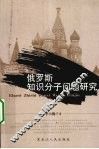 俄罗斯知识分子问题研究 封面