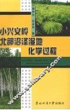 小兴安岭北部沼泽湿地化学过程 封面