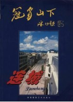 冠豸山下·连城 封面