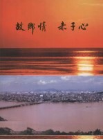 故乡情  赤子心 封面
