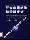 肝炎病毒感染与肾脏疾病 封面