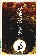 菩萨蛮 电子书封面