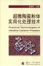 超微陶瓷粉体实用化处理技术 封面