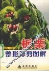 板栗整形修剪图解 封面