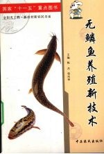 无鳞鱼养殖新技术 封面