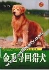 金毛寻回猎犬  金色炫舞 封面
