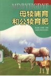 母犊哺育和公犊育肥 封面