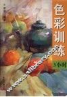 色彩训练3小时 封面