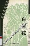 白梅花 封面