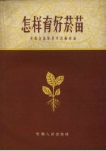 怎样育好烟苗 封面