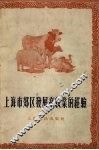 上海市郊区发展畜牧业的经验 封面