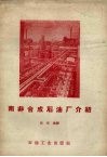 南非合成石油厂介绍 封面