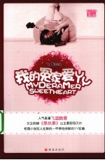 我的冤家爱丫丫 封面