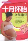 十月怀胎全程指导 封面