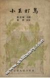 小王打鸟 封面