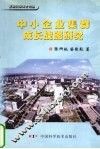 中小企业集群成长战略研究 封面