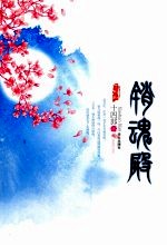 销魂殿  九霄宫阙唯爱销魂 封面