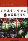 日光温室小型西瓜高效栽培技术 封面