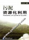 污泥资源化利用 封面