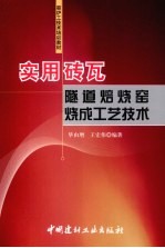 实用砖瓦隧道焙烧窑烧成工艺技术 封面