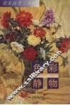 色彩静物 封面