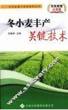 冬小麦丰产关键技术 封面