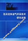 泡沫流体油气开采技术研究进展 封面