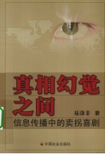 真相幻觉之间  信息传播中的卖拐喜剧 封面