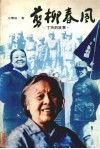 剪柳春风  丁玲的故事 封面