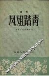 凤姐踏青  书帽 封面