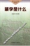 藏学是什么 封面