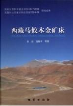 西藏马攸木金矿床 封面