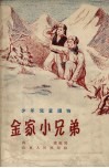 金家小兄弟 封面