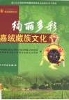 绚丽多彩的嘉绒藏族文化 封面