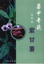 薯中奇葩  紫甘薯 封面