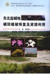 东北盐碱地碱斑植被恢复及资源利用 封面