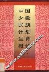 中国少数民族计划生育概论 封面