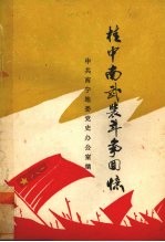 桂中南武装斗争回忆 封面