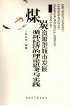 煤炭资源型城市发展循环经济的理论思考与实践 封面