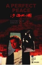 沙海无澜 封面