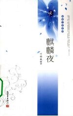 麒麟夜 电子书封面