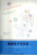 知识分子与大众  文学知识界的傲慢与偏见  1880-1939 封面